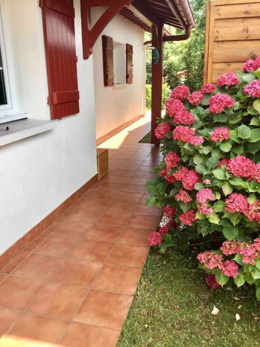 1Km Plage, Agreable Maison 6 Pers Classee 3* Hendaya Exterior foto