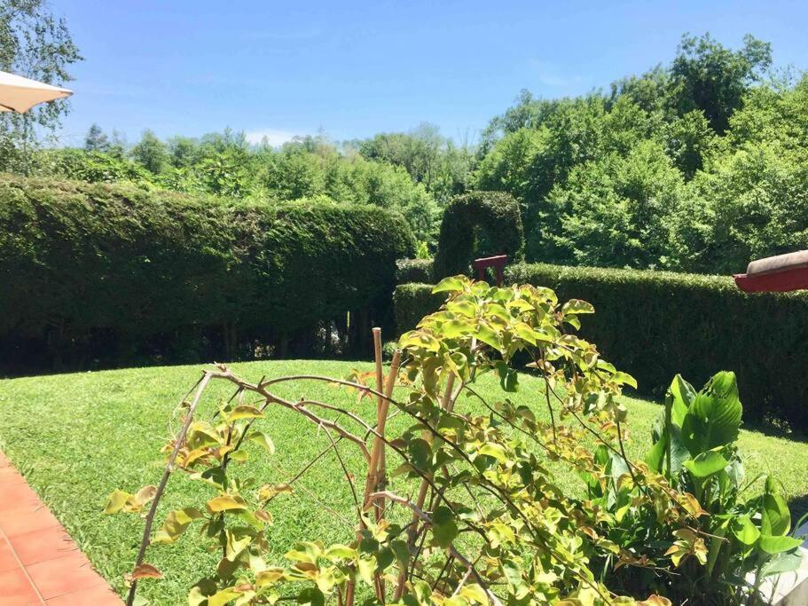 1Km Plage, Agreable Maison 6 Pers Classee 3* Hendaya Exterior foto